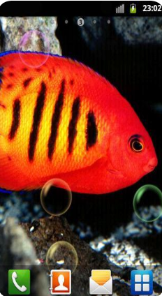 水族館動態(tài)壁紙