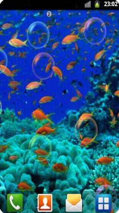 水族館動態(tài)壁紙