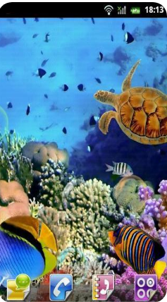 水族館動態(tài)壁紙