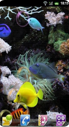 水族館動態(tài)壁紙