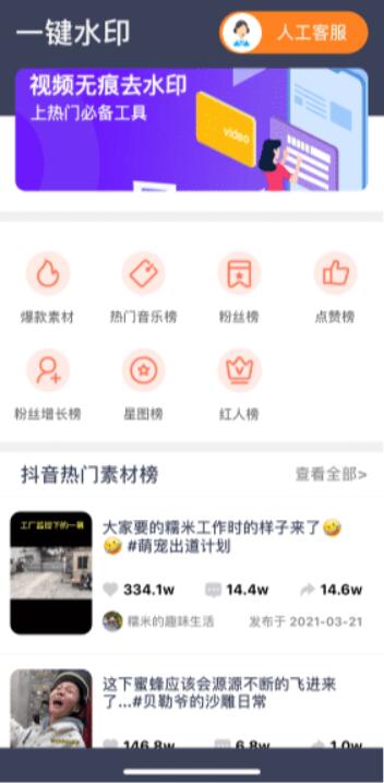 視頻去水印大師