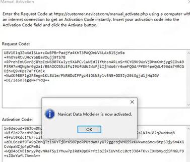 Navicat Data Modeler(含激活碼)
