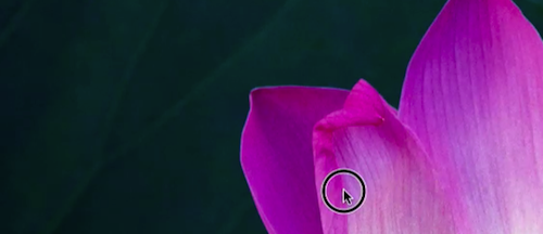 QuickTime中文版下載