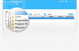 金山數(shù)據(jù)恢復(fù)大師免費(fèi)版下載