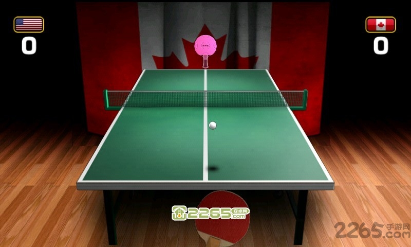 雙人運(yùn)動會