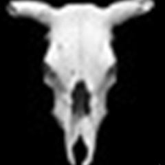 CAD去教育版戳記軟件 最新版本