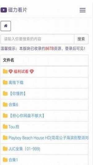 BTDigg(比特彗星資源搜索器)