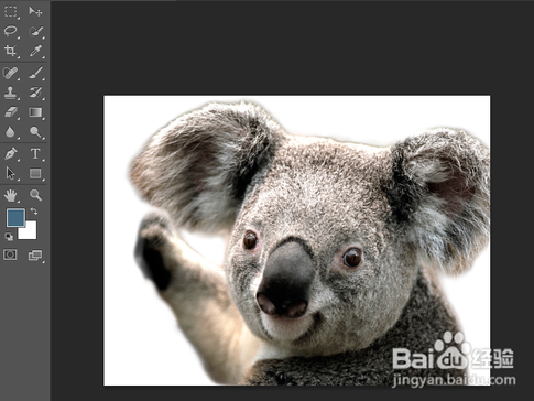 PS精簡(jiǎn)版免費(fèi)下載