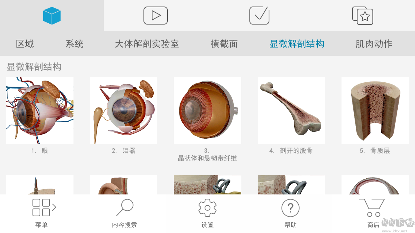 人體解剖學(xué)圖譜