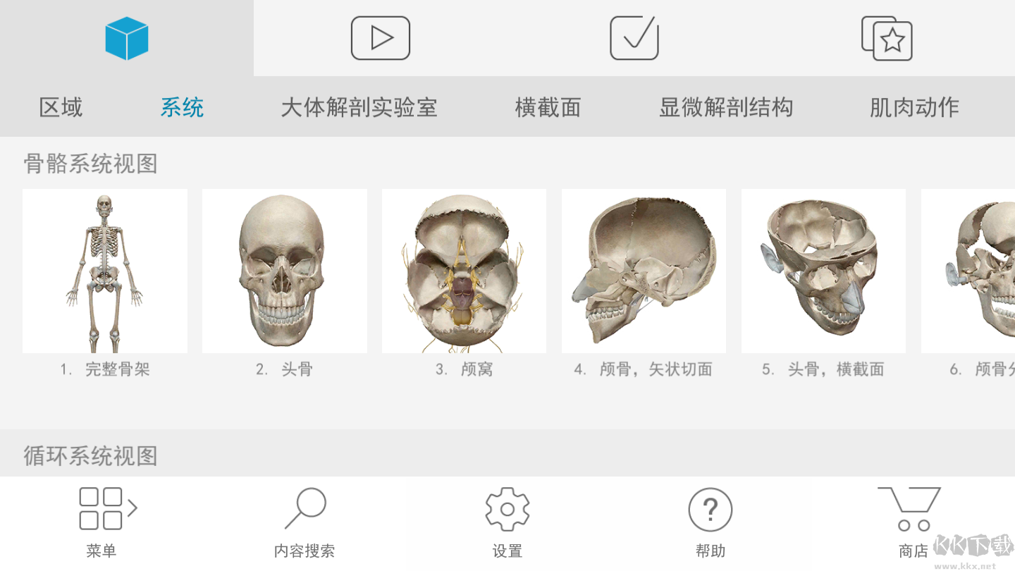 人體解剖學(xué)圖譜