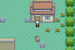 口袋妖怪劊曜之影