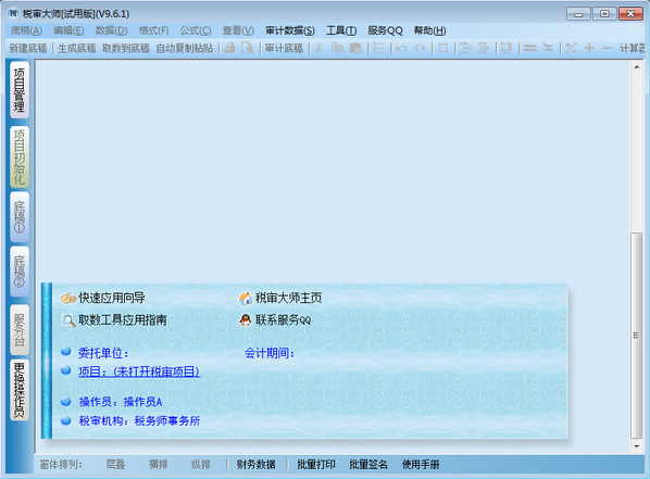 稅審大師綠色破解版