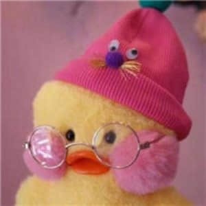 玻尿酸鴨表情包