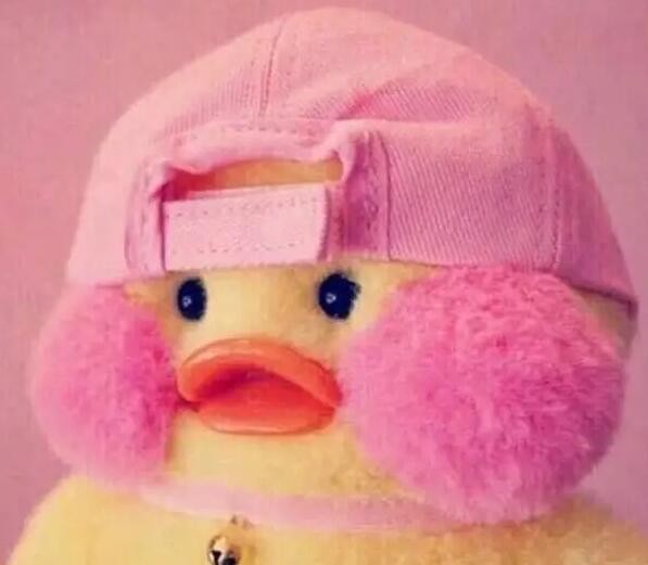 玻尿酸鴨表情包