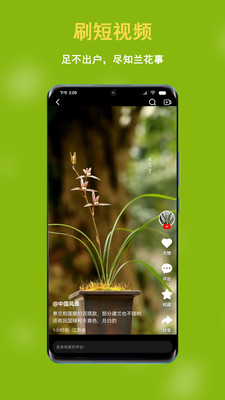 中國蘭花交易網(wǎng)