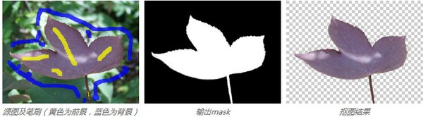 免費的智能摳圖軟件下載