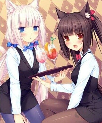 環(huán)世界B18孵化新品種貓娘MOD