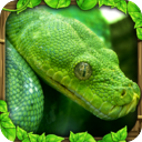 終極蟒蛇模擬器3D 安卓版v2.0