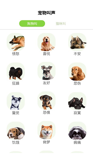 狗語翻譯器APP