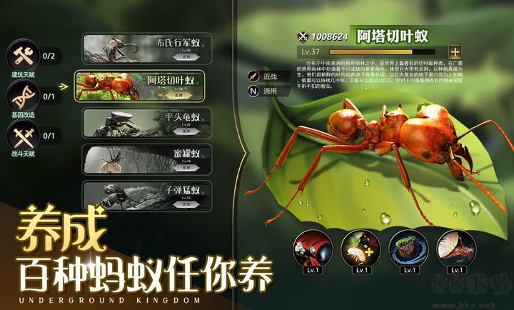 小小蟻國(guó)無(wú)限資源內(nèi)購(gòu)版