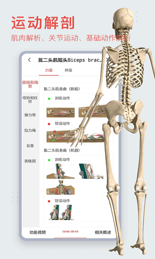 3dbody下載