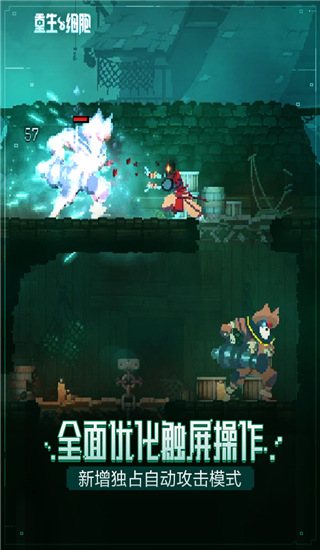 重生細(xì)胞(死亡細(xì)胞)