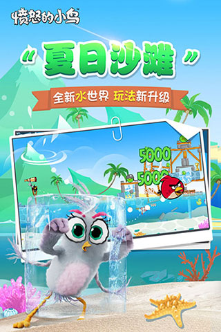 憤怒的小鳥原版