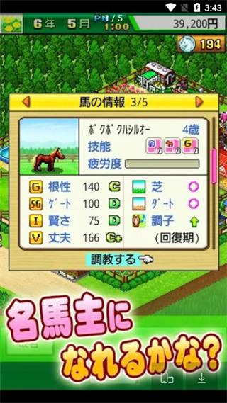 頂級(jí)跑馬牧場(chǎng)漢化破解版