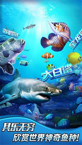 全民釣魚2內(nèi)購破解版