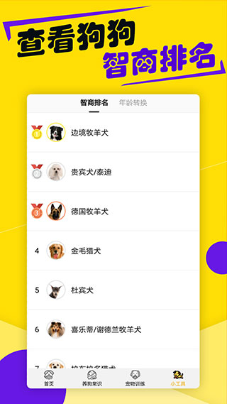 狗語翻譯器APP