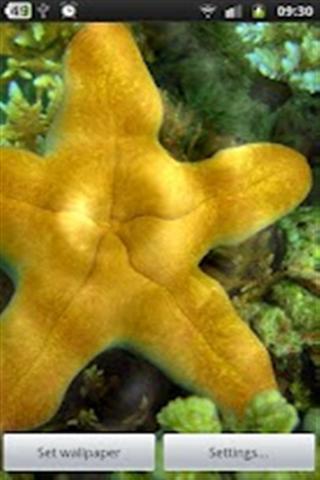 動態(tài)壁紙APP