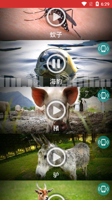 動物手機鈴聲純凈版