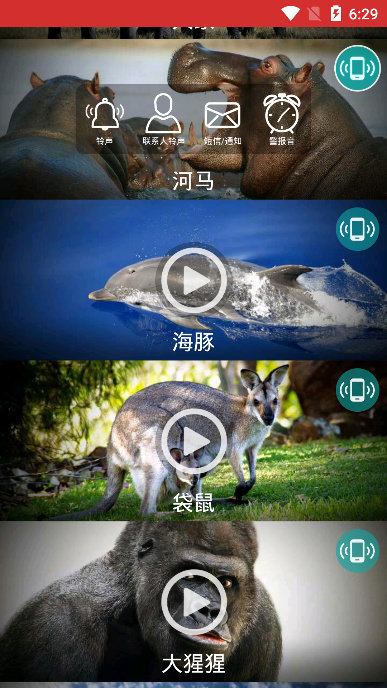 動物手機鈴聲純凈版