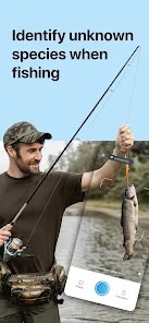 ai拍照識別?魚安卓最新版
