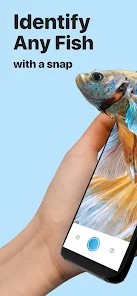 ai拍照識別?魚安卓最新版