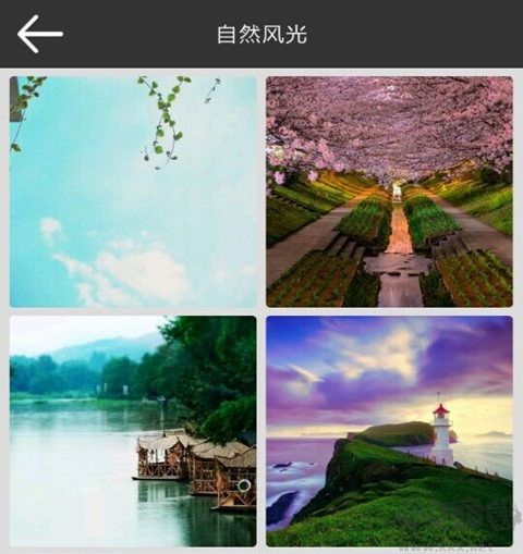 壁紙多多電腦版