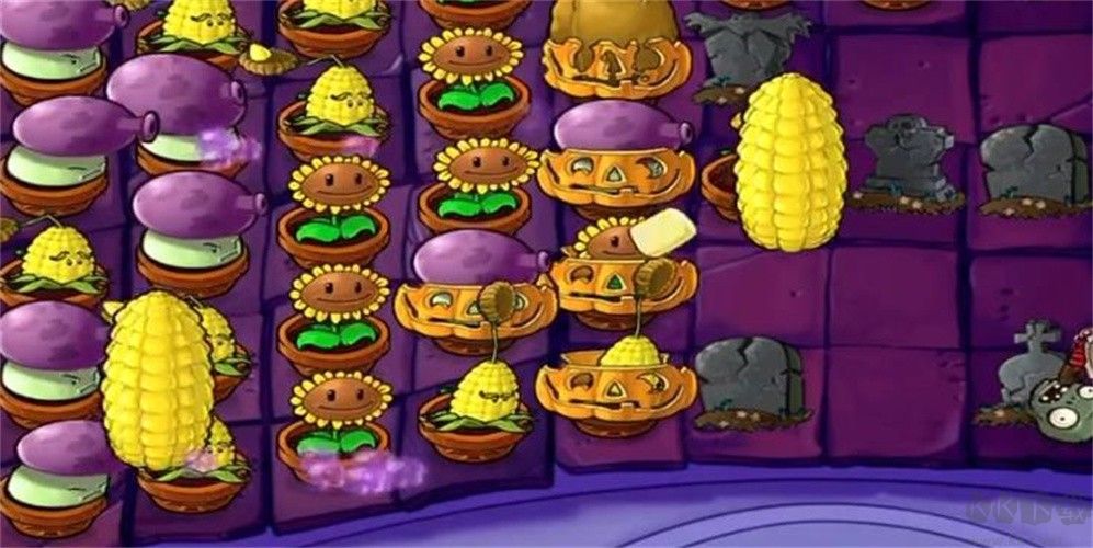 植物大戰(zhàn)僵尸前傳c版