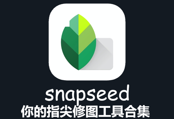 指尖修圖Snapseed下載-指尖修圖Snapseed安卓版/官方版/-指尖修圖Snapseed合集