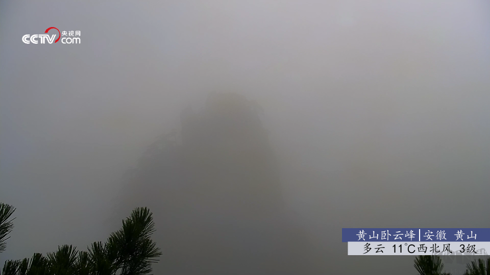 秒看電視解鎖VIP版-秒看TV盒子