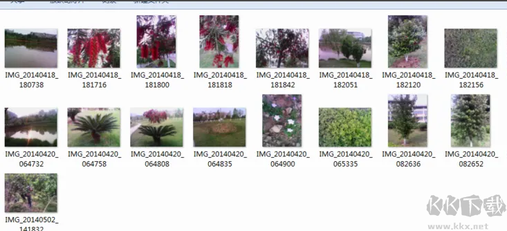 拖把更名器綠色版(批量文件更名)