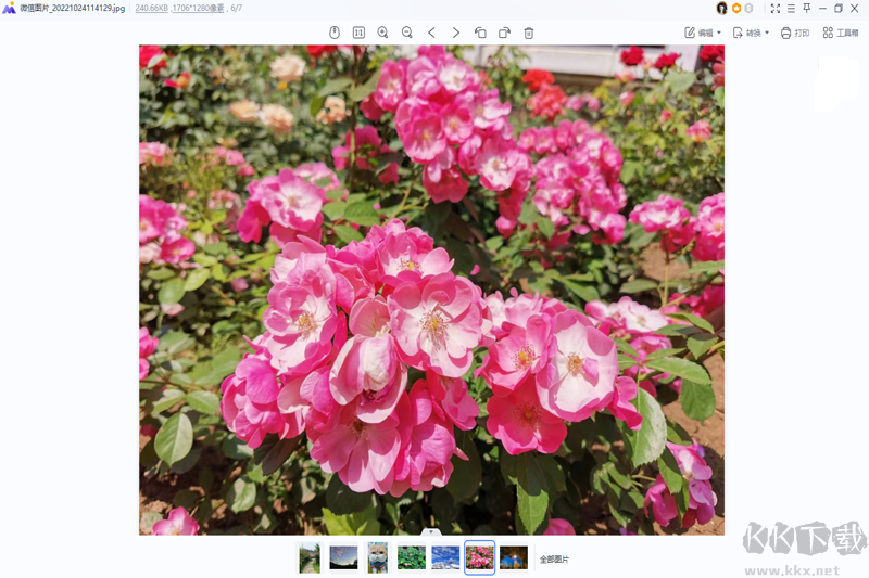 WPS看圖軟件(WPS圖片)