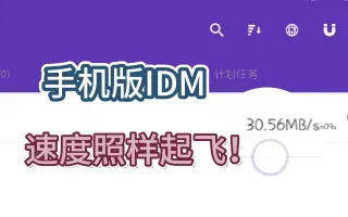 IDM下載器手機版下載-IDM下載器手機版/破解版/解鎖付費版-IDM下載器手機版合集