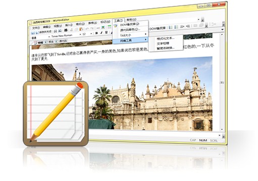 WizHtmlEditor編輯器 v1.0