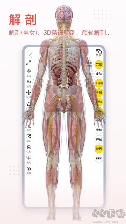 3Dbody2026免費(fèi)使用