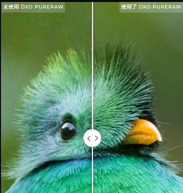 DxO PureRAW綠色便攜版