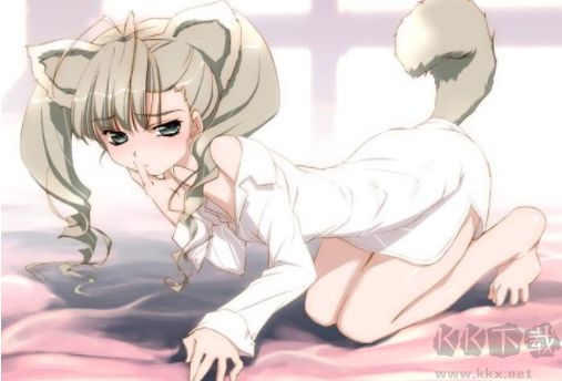 heibai彈幕破解版