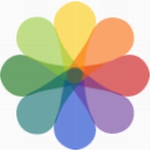 Pipette專業(yè)版2023最新 v23.6.13