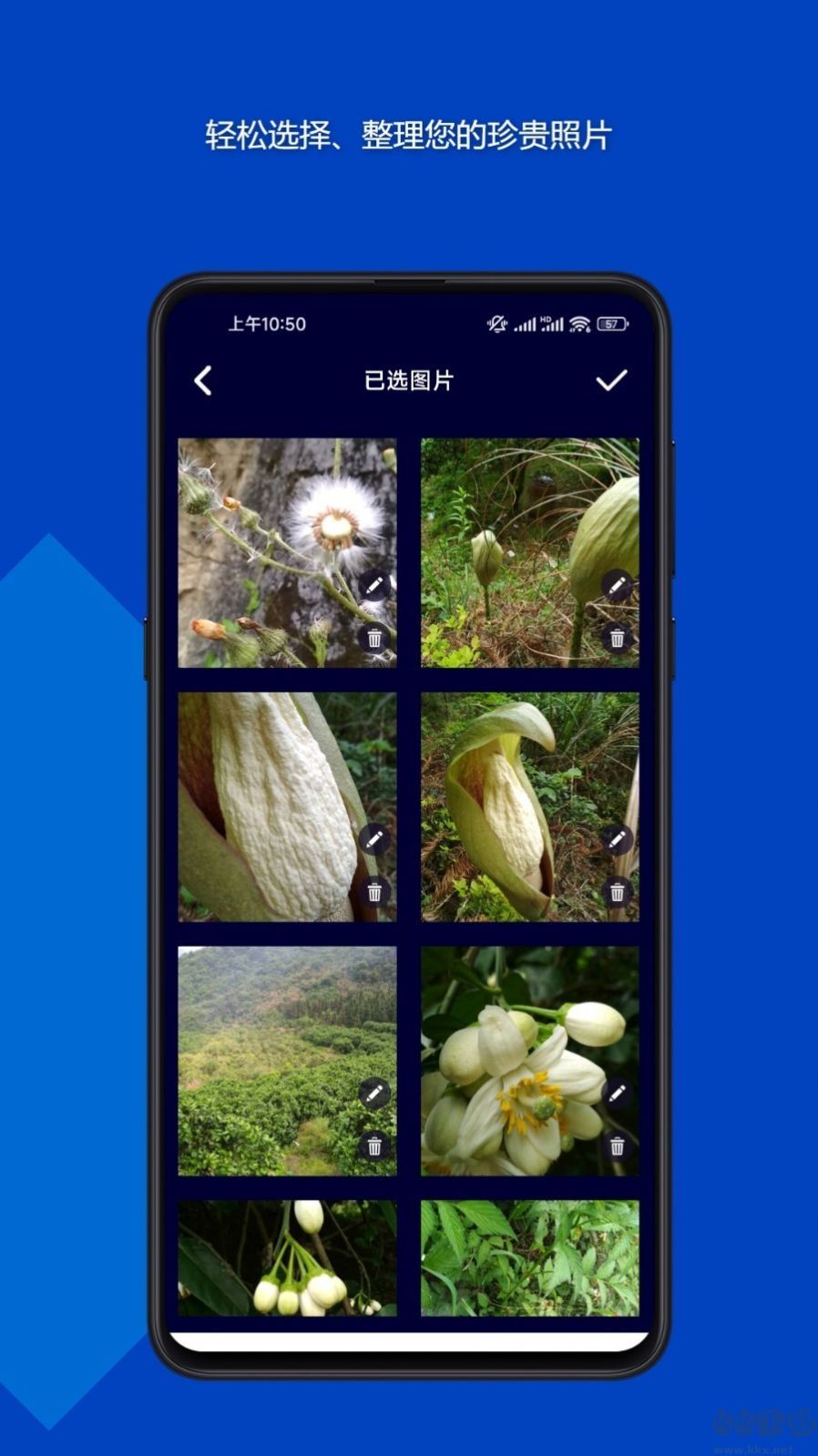 魔法音樂相冊官方最新版