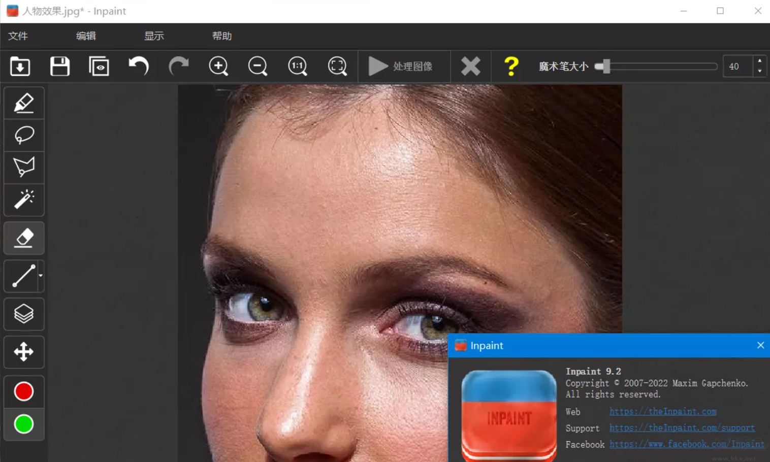 Teorex Inpaint綠色版