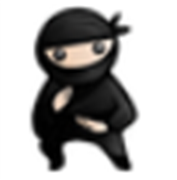 系統(tǒng)忍者Win系統(tǒng)垃圾清理工具 v4.0